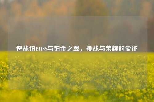 逆战铂BOSS与铂金之翼,挑战与荣耀的象征