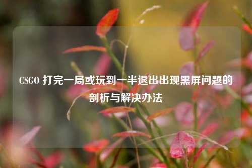CSGO 打完一局或玩到一半退出出现黑屏问题的剖析与解决办法