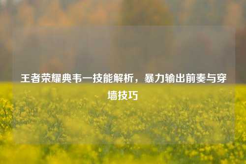 王者荣耀典韦一技能解析,暴力输出前奏与穿墙技巧