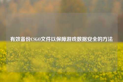 有效备份CSGO文件以保障游戏数据安全的 ***