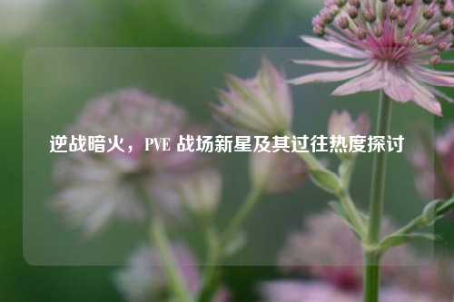 逆战暗火,PVE 战场新星及其过往热度探讨