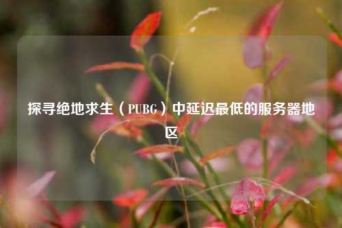 探寻绝地求生(PUBG)中延迟更低的服务器地区