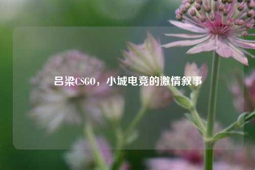 吕梁CSGO,小城电竞的***叙事