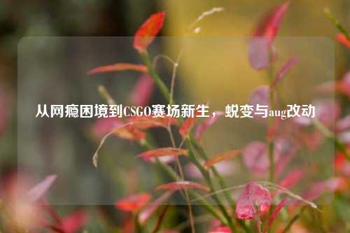 从网瘾困境到CSGO赛场新生,蜕变与aug改动