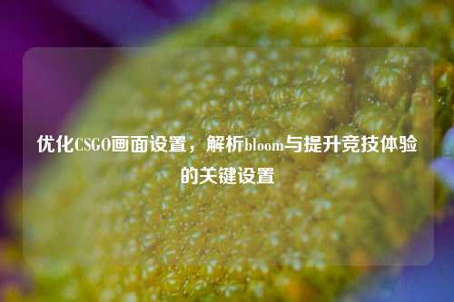 优化CSGO画面设置,解析bloom与提升竞技体验的关键设置