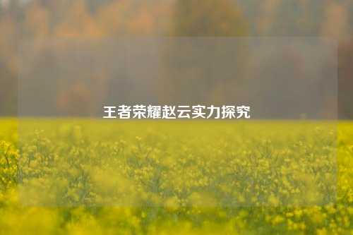 王者荣耀赵云实力探究