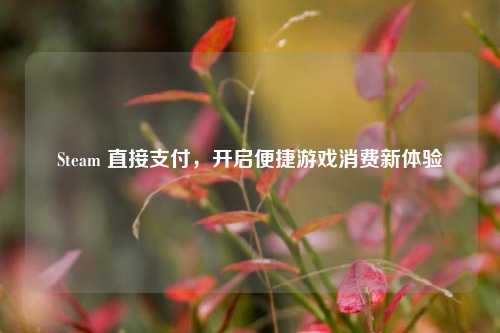 Steam 直接支付,开启便捷游戏消费新体验