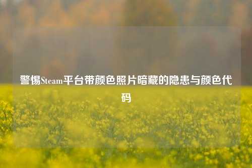 警惕Steam平台带颜色照片暗藏的隐患与颜色代码