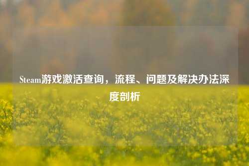 Steam游戏激活查询,流程、问题及解决办法深度剖析
