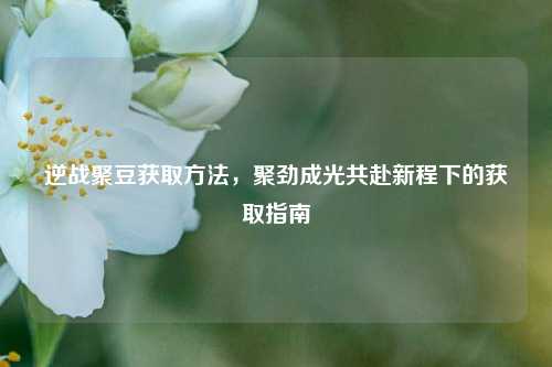 逆战聚豆获取 *** ,聚劲成光共赴新程下的获取指南