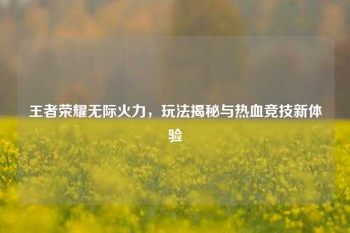 王者荣耀无际火力,玩法揭秘与热血竞技新体验
