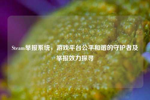 Steam举报系统,游戏平台公平和谐的守护者及举报效力探寻