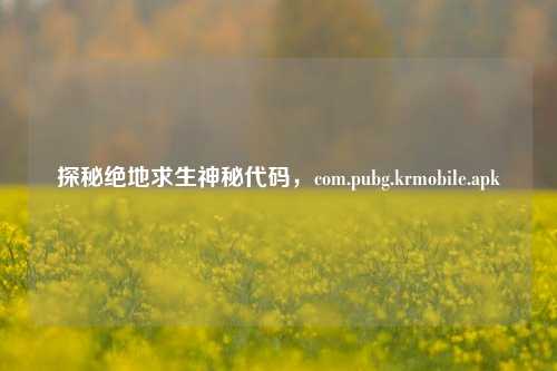 探秘绝地求生神秘代码,com.pubg.krmobile.apk