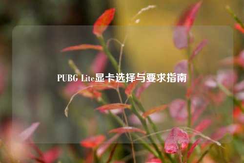 PUBG Lite显卡选择与要求指南