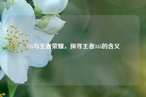 345与王者荣耀,探寻王者345的含义