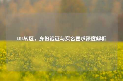 LOL转区,身份验证与实名要求深度解析
