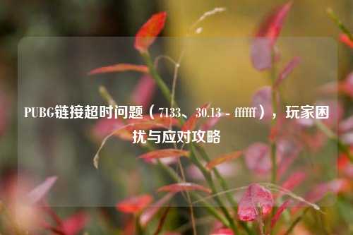 PUBG链接超时问题(7133、30.13 - ffffff),玩家困扰与应对攻略