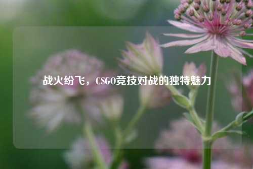 战火纷飞,CSGO竞技对战的独特魅力