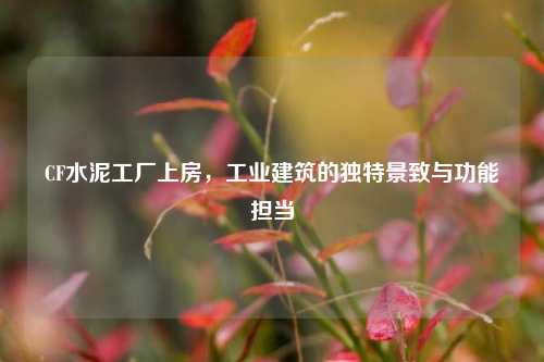 CF水泥工厂上房,工业建筑的独特景致与功能担当