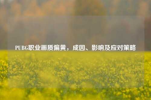 PUBG职业画质偏黄,成因、影响及应对策略
