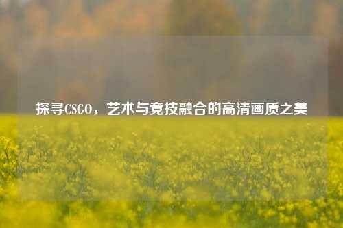 探寻CSGO,艺术与竞技融合的高清画质之美