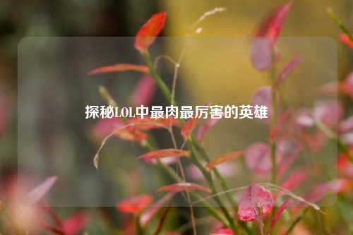 探秘LOL中最肉最厉害的英雄
