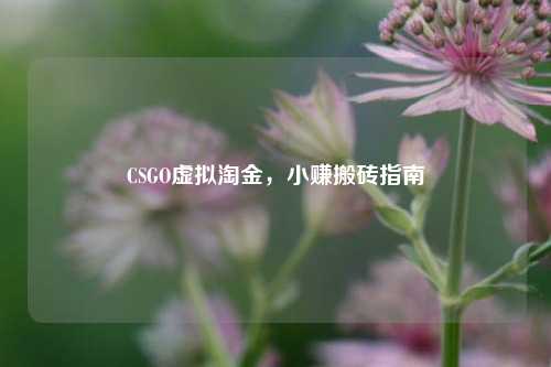 CSGO虚拟淘金,小赚搬砖指南