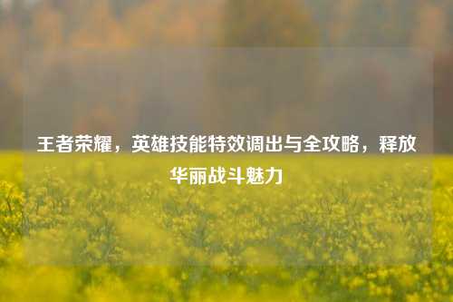 王者荣耀,英雄技能特效调出与全攻略,释放华丽战斗魅力