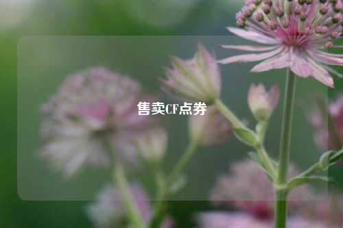 售卖CF点券