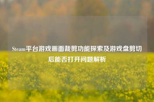 Steam平台游戏画面裁剪功能探索及游戏盘剪切后能否打开问题解析