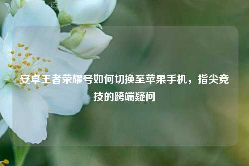 安卓王者荣耀号如何切换至苹果手机,指尖竞技的跨端疑问