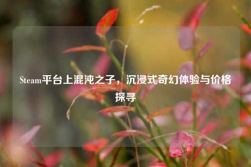 Steam平台上混沌之子,沉浸式奇幻体验与价格探寻