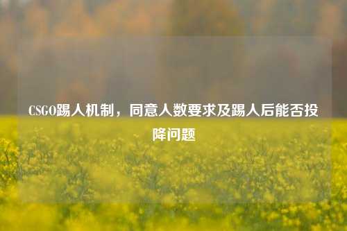 CSGO踢人机制,同意人数要求及踢人后能否投降问题