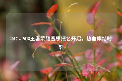 2017 - 2018王者荣耀赛事报名开启,热血集结时刻