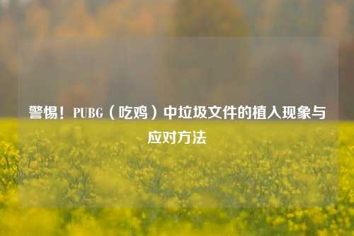 警惕!PUBG(吃鸡)中垃圾文件的植入现象与应对 ***