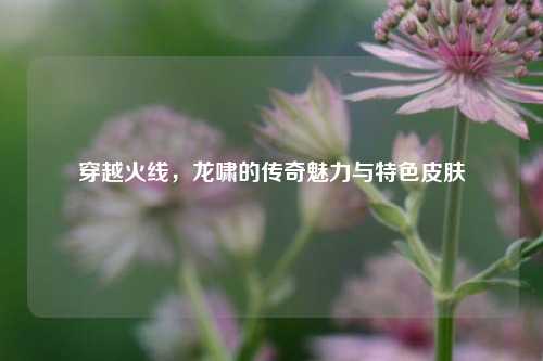 穿越火线,龙啸的传奇魅力与特色皮肤