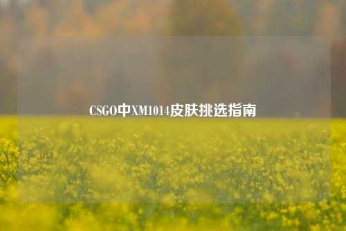 CSGO中XM1014皮肤挑选指南