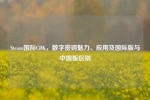 Steam国际CDK,数字密钥魅力、应用及国际版与中国版区别