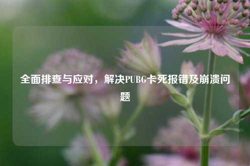 全面排查与应对,解决PUBG卡死报错及崩溃问题