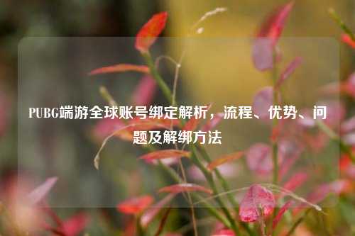 PUBG端游全球账号绑定解析,流程、优势、问题及解绑 ***