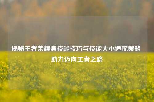 揭秘王者荣耀满技能技巧与技能大小适配策略 助力迈向王者之路