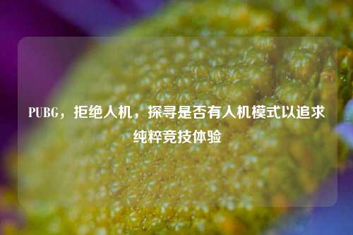 PUBG,拒绝人机,探寻是否有人机模式以追求纯粹竞技体验