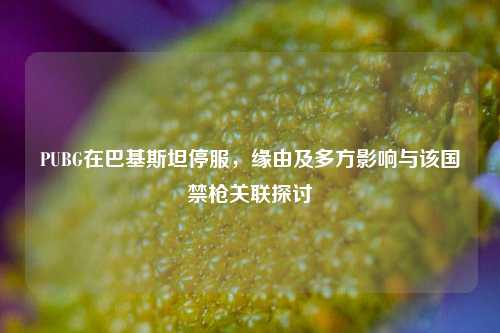 PUBG在巴基斯坦停服,缘由及多方影响与该国禁枪关联探讨