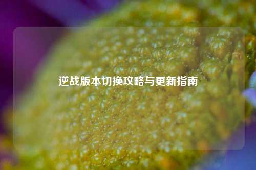 逆战版本切换攻略与更新指南