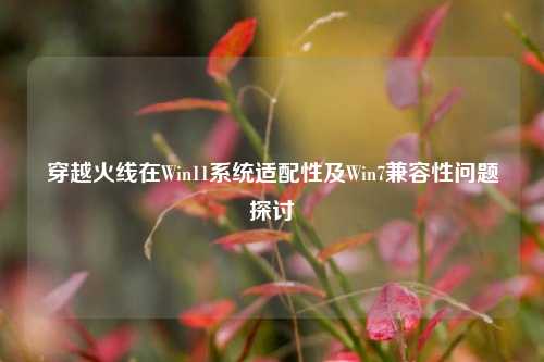 穿越火线在Win11系统适配性及Win7兼容性问题探讨