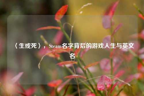 〈生或死〉,Steam名字背后的游戏人生与英文名