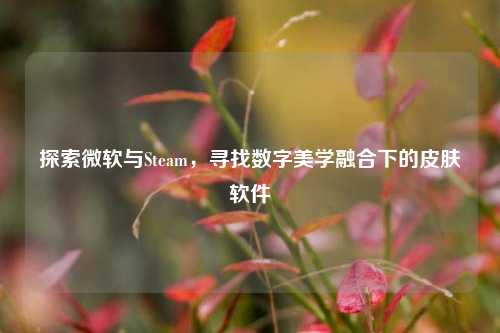 探索微软与Steam,寻找数字美学融合下的皮肤软件
