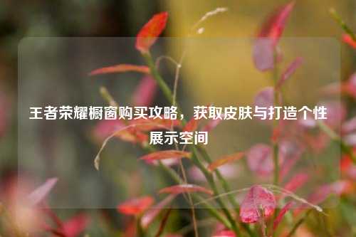 王者荣耀橱窗购买攻略,获取皮肤与打造个性展示空间