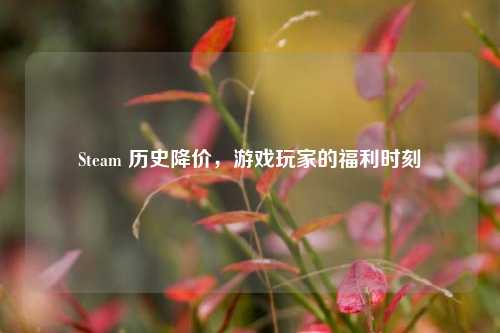 Steam 历史降价,游戏玩家的福利时刻