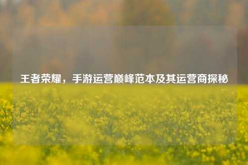 王者荣耀,手游运营巅峰范本及其运营商探秘